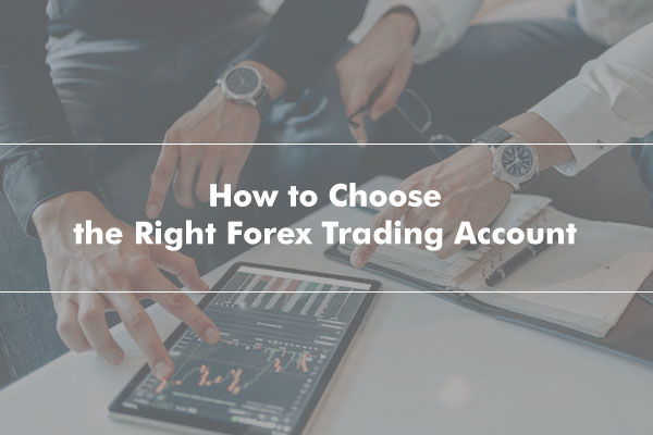 Choose the Right Forex Trading Account